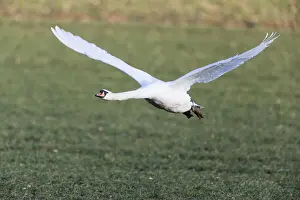 Taking Off Prints: 180320d0044