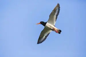 180523w0186