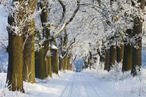 Road Collection: 20160122_102826_0043