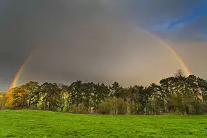 Rainbows Prints: 20160329_192431_0248