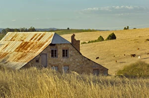 Abandoned house / barn in rolling hills with