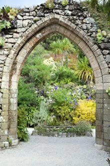 Images Dated 8th September 2007: Abbey Gardens - Tresco - Isles of Scilly - UK