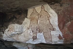 Images Dated 19th September 2004: Aboriginal Rock Art - Site on Mt Elizabeth Station
