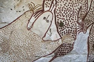 Images Dated 19th September 2004: Aboriginal Rock Art - At a site on Mt Elizabeth Station