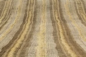 Backgrounds Gallery: Abstract patterns in a cornfield after the wheat harvest