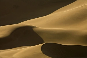 Images Dated 17th October 2008: Abstract patterns of dunes in contrasty late afternoon light - Dune Fields - Namib Desert