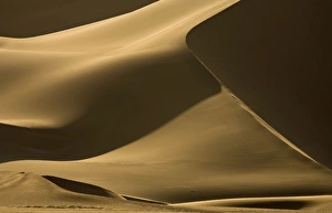 Images Dated 17th October 2008: Abstract patterns of dunes in contrasty late afternoon light - Dune Fields - Namib Desert