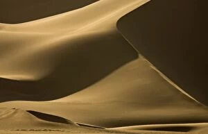 Images Dated 17th October 2008: Abstract patterns of dunes in contrasty late afternoon light