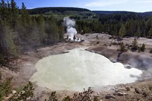 Images Dated 6th June 2013: Acid Springs - in Sulphur Caldron Yellowstone National
