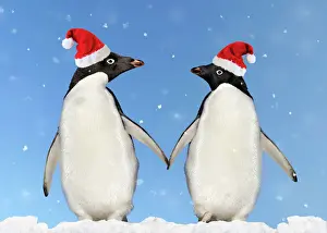 Adelie Penguin - holding hands wearing Christmas hats - Brown Bluff - Antarctic Peninsula Digital Manipulation: montaged penguins, added sky/snow & hats (Su)