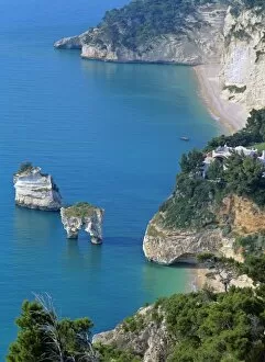 Adriatic Sea - coastline with blue sea, pine forest, white chalk cliffs and sea stacks
