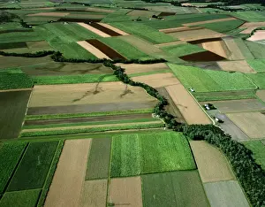 Arable Prints: Aerial - Canefields near Cairns North Queensland, Australia JPF50155