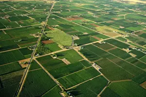 Orchards Prints: Aerial - Citrus and apricot orchards - Murray River irrigation area Mildura