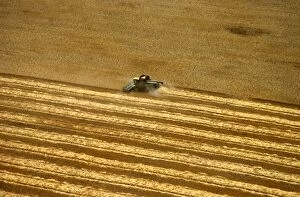 Arable Gallery: Aerial - Combine harvesters harvesting wheat