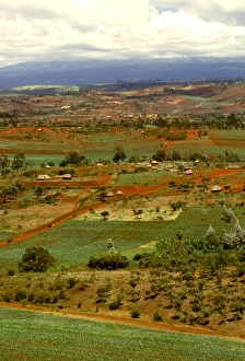 Images Dated 20th August 2009: Aerial: cultivated land and human habitation near Ngorongoro Conservation Zone, Tanzania JFL14143