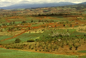 Images Dated 20th August 2009: Aerial: cultivated land and human habitation near Ngorongoro Conservation Zone, Tanzania JFL14148