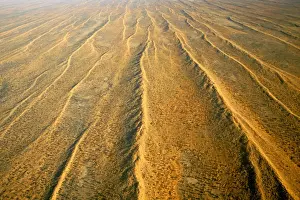 Patterns Prints: Aerial of dunefields, sand dunes and claypans in interdune corridors