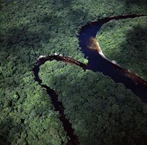 From The Air Prints: Aerial image of Guyana, South America: confluence of Paikwa River with Kako River