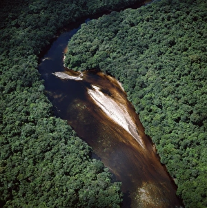 Rain Forest Collection: Aerial image of Guyana, South America: Paikwa River, Upper Mazaruni District, riverbend and sandbars