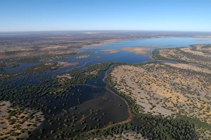 Images Dated 4th September 2004: Aerial of Lake Ngami Botswana Africa