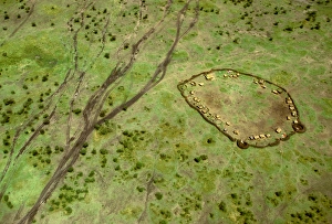 Images Dated 20th August 2009: Aerial: Maasai village and vehicle tracks, Masai Mara, Kenya JFL14122