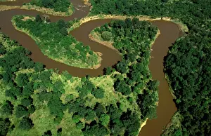 Aerial - Mara River - Masai Mara National Reserve - Kenya JFL17345
