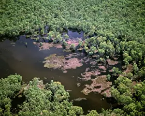 Billabong Prints: Aerial - Murray River and billabong - near Wentworth, New South Wales, Australia, JLR06370