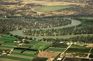 Meandering Prints: Aerial - Murray River irrigation: citrus orchards - between Swan Reach & Waikerie