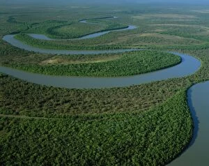 Images Dated 16th January 2009: Aerial - North Kennedy River with mangrove-lined banks, Lakefield National Park
