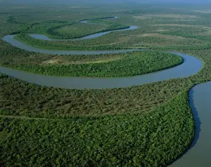 Meandering Prints: Aerial - North Kennedy River with mangrove-lined banks