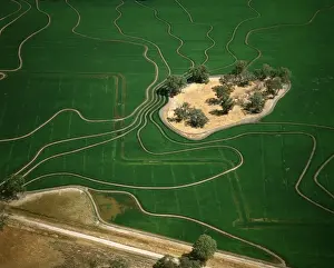 Paddies Prints: Aerial - Ricefield - Barham, New South Wales, Australia JLR06357