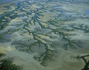 Aerial - Roper River delta aerial with saline flats and mangrove lined dendritic channels, Gulf of Carpentaria, Northern Territory, Australia JPF48635