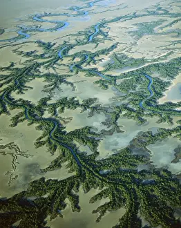Delta Prints: Aerial - Roper River delta with saline flats and mangrove-lined dendritic channels