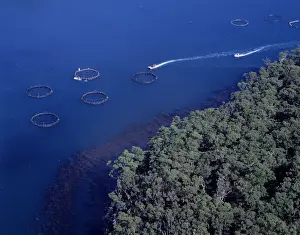 Aerial - Salmon farming off Port Arthur (aquaculture) Tasmania, Australia JPF49471