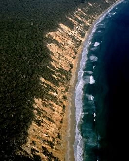 Images Dated 16th January 2009: Aerial - Sand cliffs - Cooloolah Section, Great Sandy National Park, Queensland, Australia JPF52892