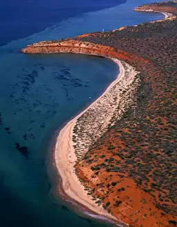 Aerial - Seagrass bed / dugong habitat at Cape Peron and Herald Bight Francois Peron National Park, Shark Bay Marine Park, Western Australia JPF43595