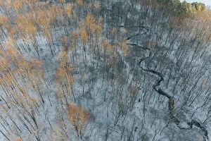 Stream Gallery: Aerial of snowy trees, Marion County, Illinois