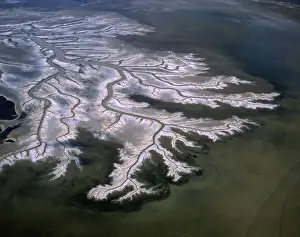 Mudflat Prints: Aerial - Tidal flats along King Sound area