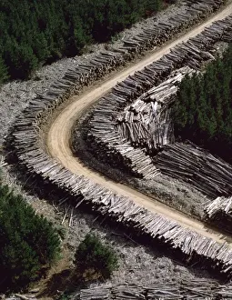 Commerical Prints: Aerial - Timber loading Northeastern Tasmania, Australia JPF49498