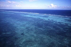 Aerial view of Barrier Reef, Belize, Central