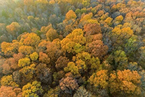 Images Dated 9th June 2021: Aerial view of fall color, Marion County, Illinois Date: 05-11-2020