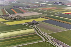 Aerial view of flower field patterns surrounding