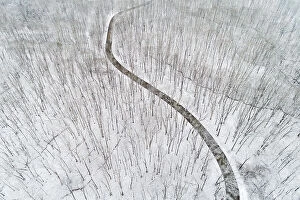 Images Dated 9th June 2021: Aerial view of a fresh snow over the forest and road, Marion County, Illinois Date: 30-01-2020