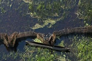 Aerial view of locals fishing with fences in a Makoro canoe