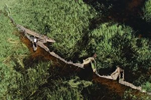 Images Dated 25th September 2003: Aerial view of locals fishing using fences and a Makoro