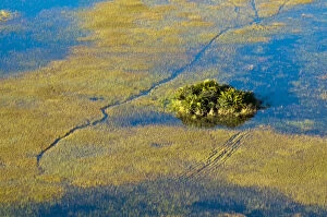 Botswana Gallery: Aerial view of Okavango Delta, Botswana