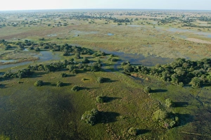 Images Dated 15th May 2004: Aerial view of Okavango Delta Botswana Africa
