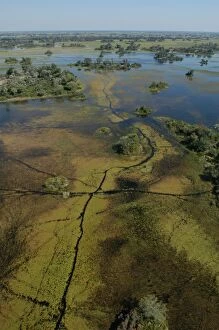 Images Dated 16th May 2004: Aerial view of Okavango Delta Botswana Africa