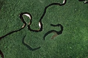 Rain Forest Collection: Aerial view of Rain Forest with Caroni River and Ox-Bows, Venezuela, South America