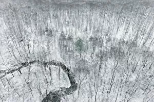 Images Dated 9th June 2021: Aerial view of woods after a snowfall, Marion County, Illinois Date: 16-12-2020